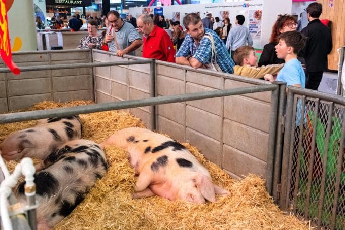 Waarom blijft de landbouw- en voedingssector groeien?