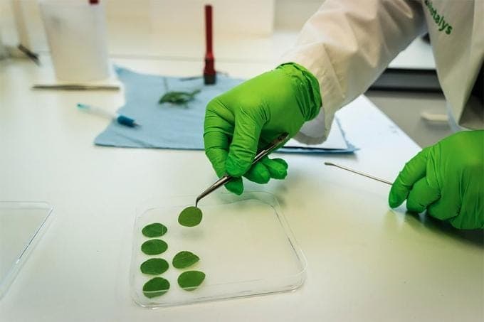 Waarom we onze positie in Biotalys verstevigen in de voorbeeldportefeuille