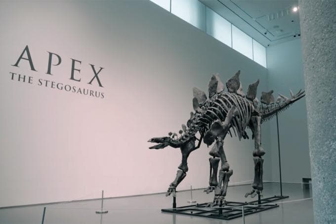 BEKIJK – Trends Doc over dinosaurusfossielen: ‘Wie bezit het verleden?