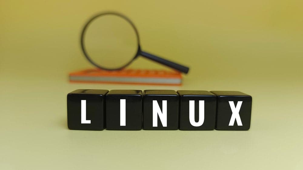 Is een ‘kill switch’ in de Linux-kernel een goed idee?